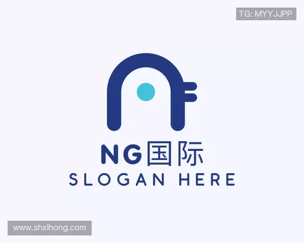 解读ng国际